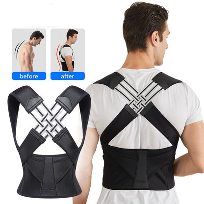 Essential Haven Back Support Belt