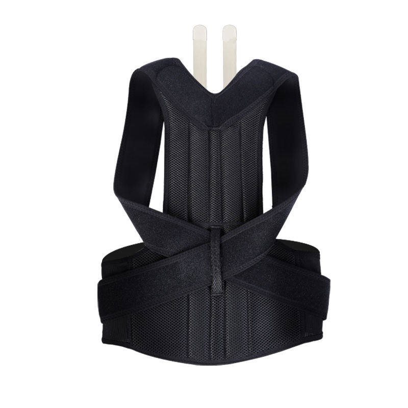 Back Support Posture Reminder Device