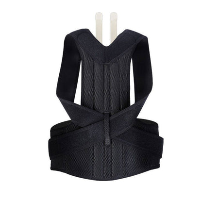 Back Support Posture Reminder Device