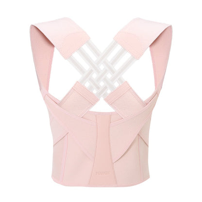 Essential Haven Back Support Belt