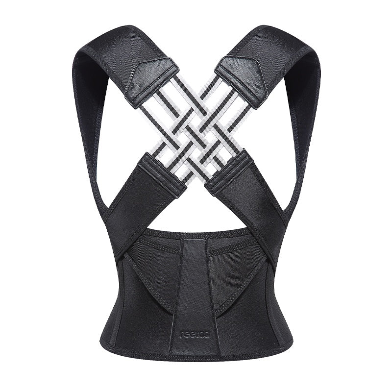 Essential Haven Back Support Belt